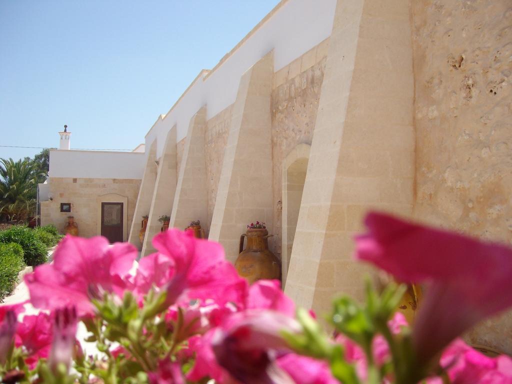 Masseria Nuova Guest House San Marzano di San Giuseppe Ngoại thất bức ảnh